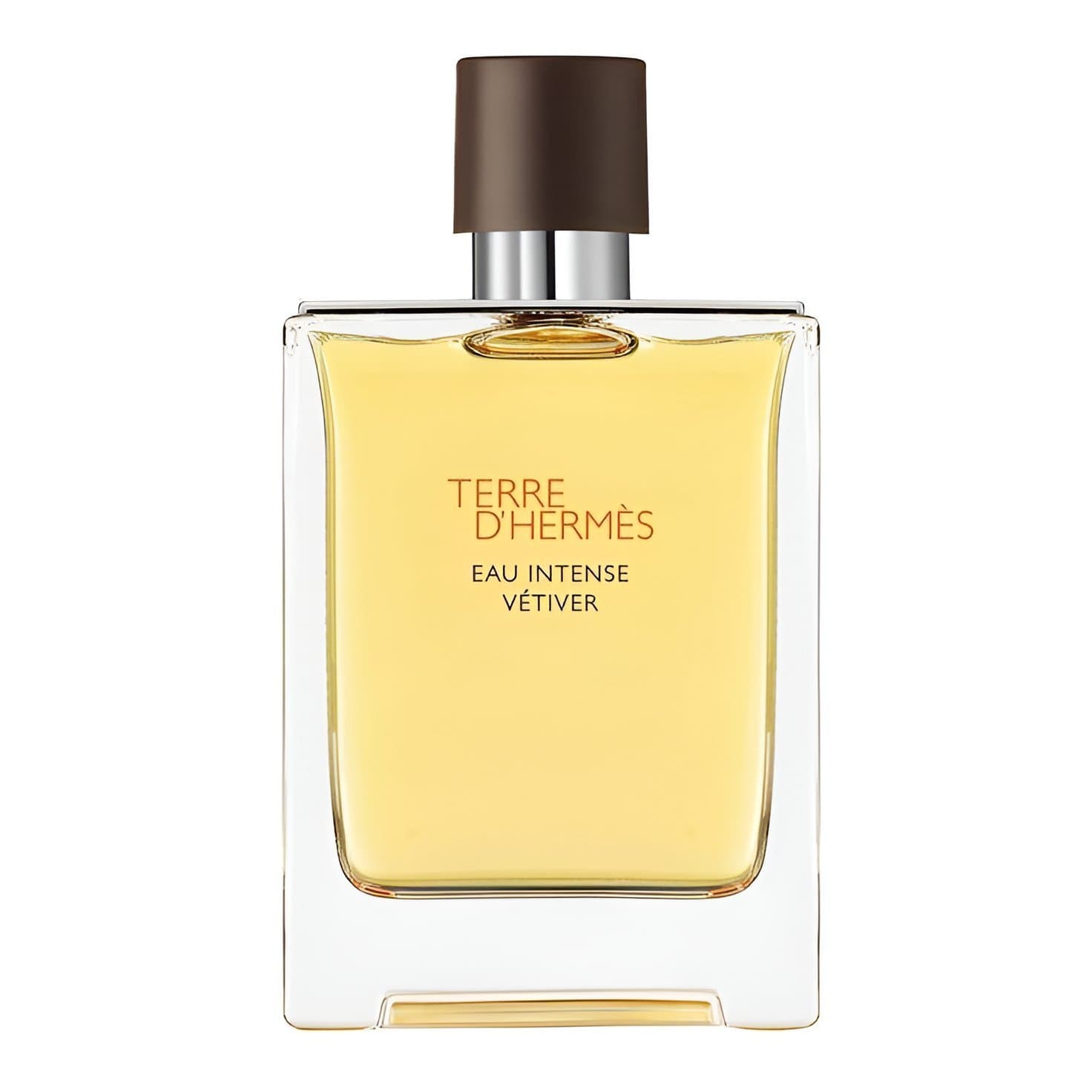 Terre D'Hermès-Eau Intense Vétiver (Testeur Original)-Eau de Parfum-100ml