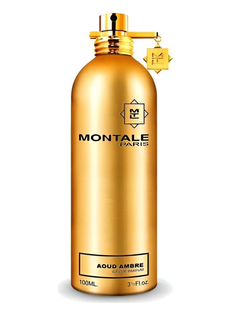 Montale-Aoud Ambre-Eau de Parfum-100ml