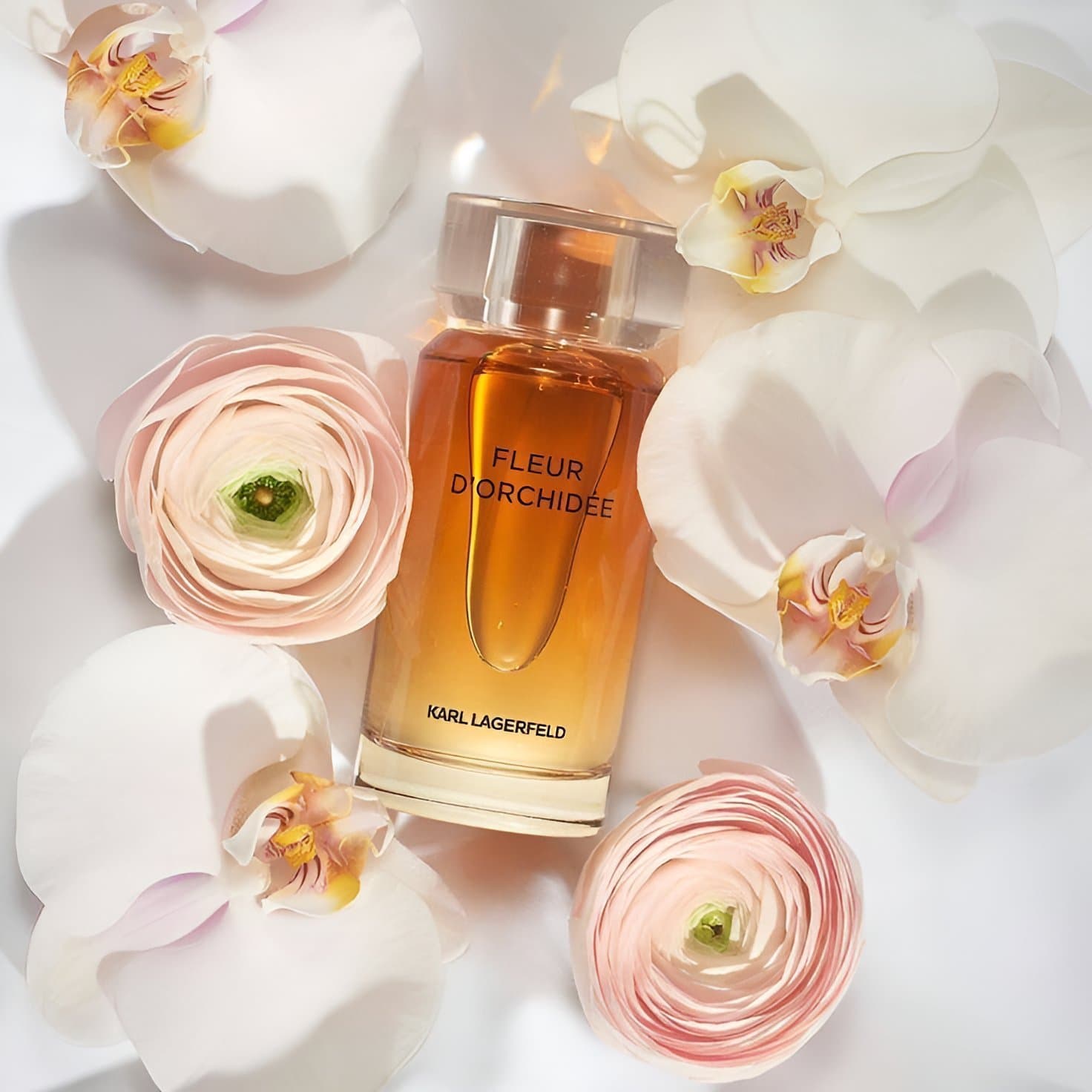 Karl Lagerfeld-Fleur d'Orchidée-Eau de Parfum-100ml